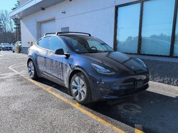 TESLA MODEL Y 2021 5YJYGDEE2MF304965 image